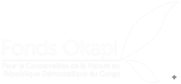 logo fonds okapi